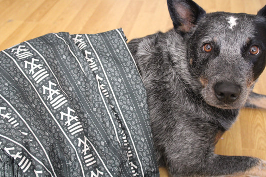 Mae Mae X Sehent Bandanna Track Pants Black